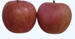 可視カメラで撮影したりんごの画像